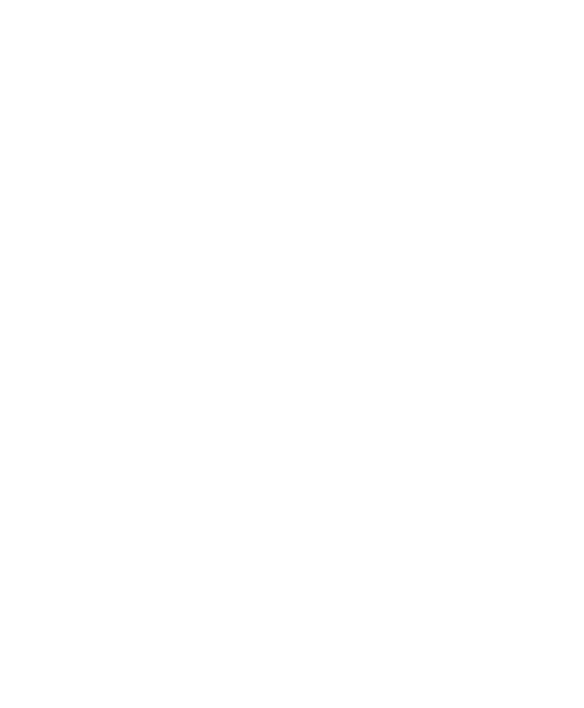Stone Center Logo